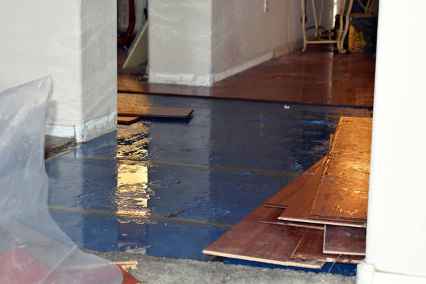 Professional Sewage Cleanup technician working in Leakesville, MS
